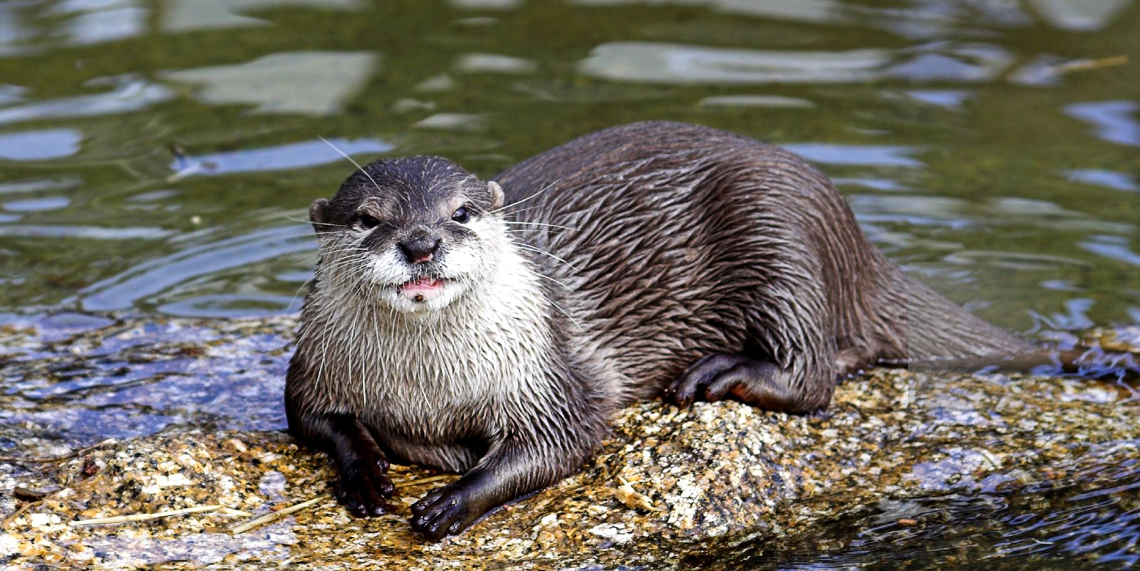 Is Long-Term Disability Insurance Worth It?