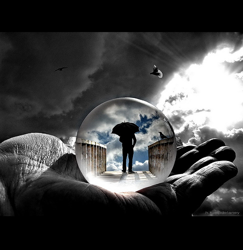 Life Insurance Policy: Which plan is right for you?