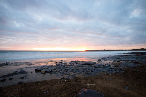 What to Include in a Simple Will